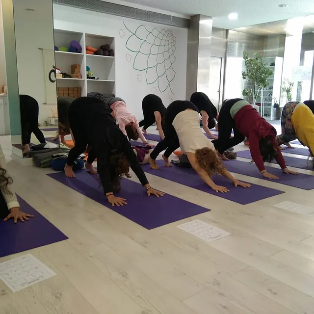 Apsarah Yoga varias personas practicando yoga